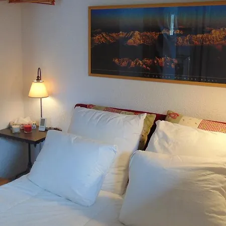 Espace Montagne * Chamonix